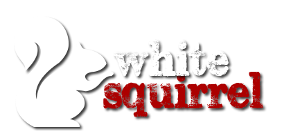 White Squirrel Web Design Cape Town
